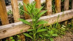 トリマーが届かない場所：フェンス沿いの雑草対策に効果的な方法