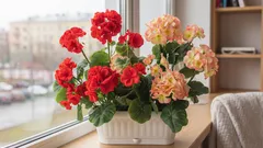 窓辺の代わりに植物をどこに置くべきか――そしてなぜそれが重要なのか