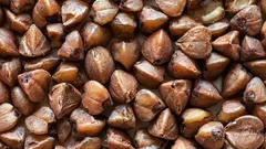 栄養士が「最も過小評価されているスーパーフード」を挙げた。それはチアシードより安く、効果も高い