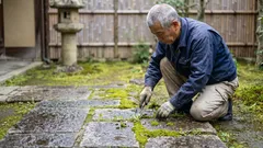 タイルの目地をきれいに掃除し、雑草の生え方を長期間防ぐ簡単な方法