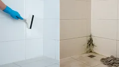 浴室のカビ：掃除時の7つの間違い――それが原因で何度も再発してしまう