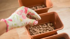 長年にわたり、発泡粘土を誤った使い方をしていた：実はこれが必要な理由